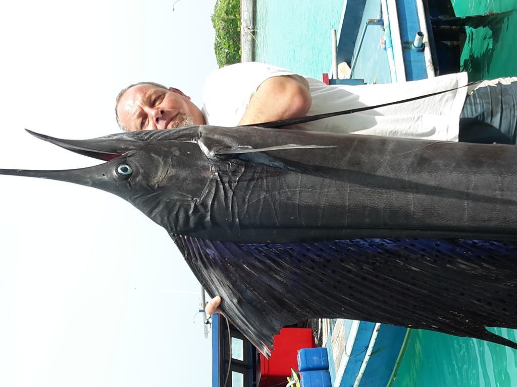 Manta View Guest House Keyodhoo  Εξωτερικό φωτογραφία